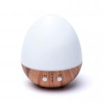 Oval White Ultraschall Diffuser 